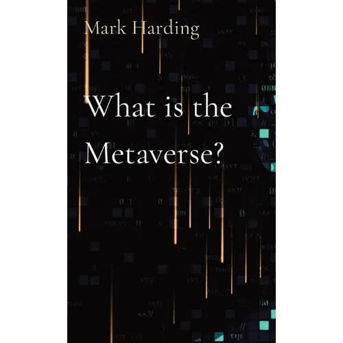 What is the Metaverse?