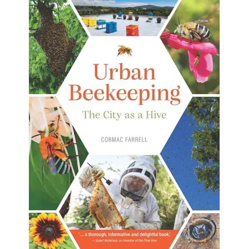 Urban Beekeeping: The City as a Hive