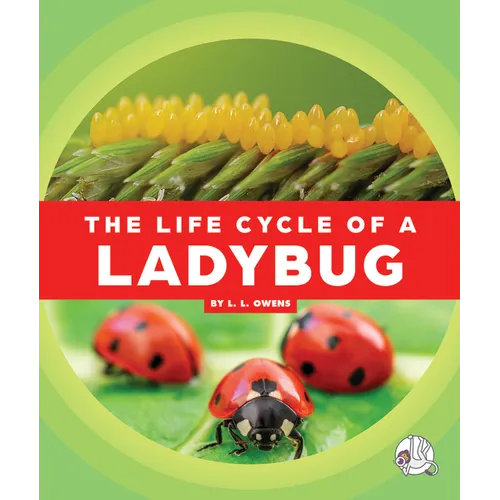 The Life Cycle of a Ladybug
