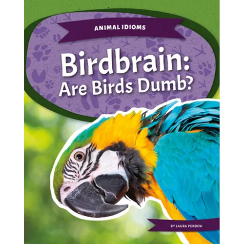 Birdbrain: Are Birds Dumb?: Are Birds Dumb?
