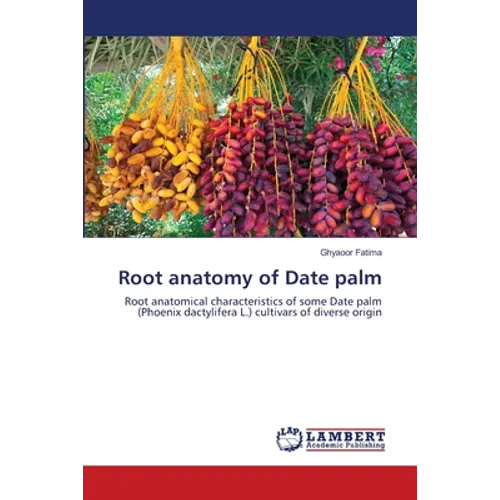 Root anatomy of Date palm