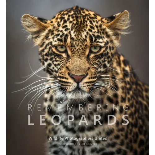 Remembering Leopards