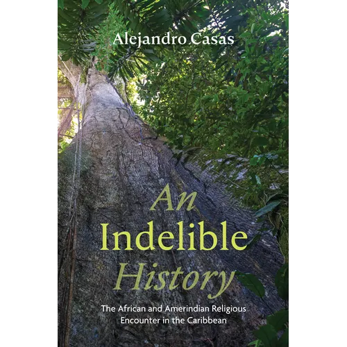 An Indelible History: The African and Amerindian Religious Encounter in the Caribbean - Paperback