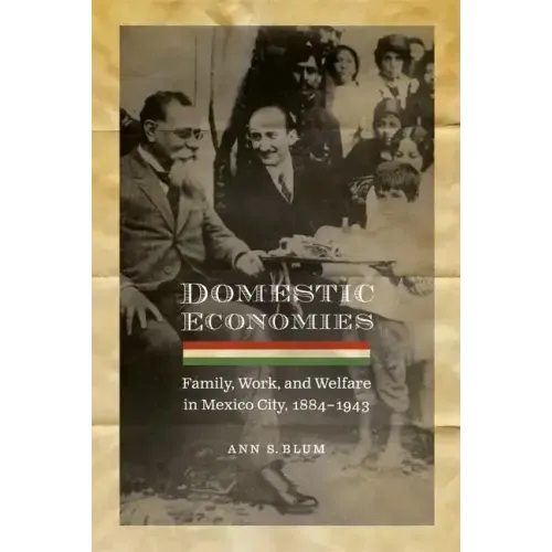 Domestic Economies: Family, Work, and Welfare in Mexico City, 1884-1943