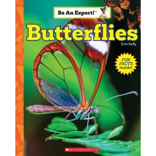 Butterflies (Be an Expert!)