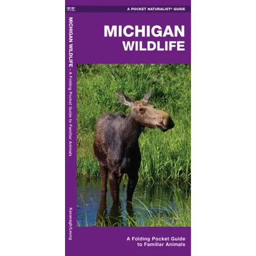 Michigan Wildlife: A Folding Pocket Guide to Familiar Animals