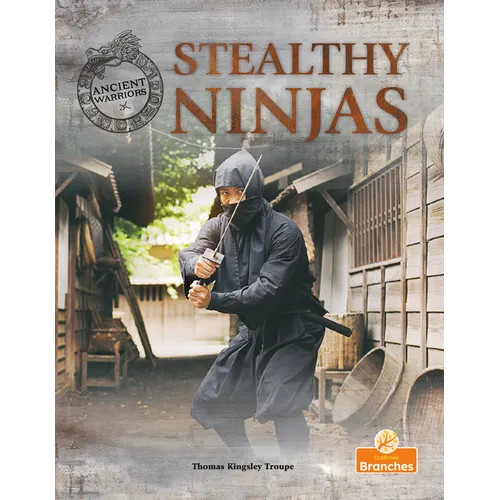Stealthy Ninjas