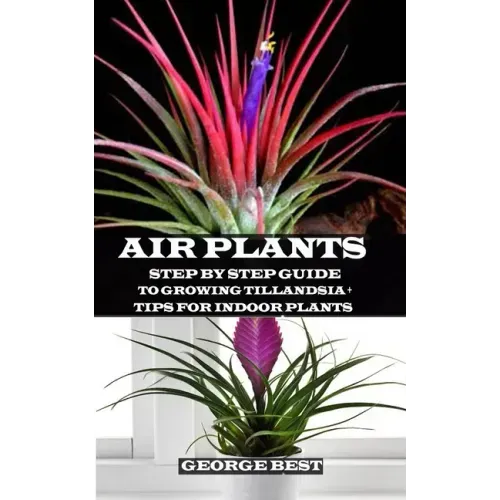 Air Plant: Step by Step Guide to Growing Tillandsia + Tips for Indoor Plants