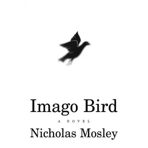 Imago Bird