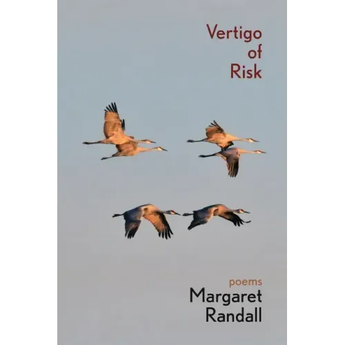 Vertigo of Risk