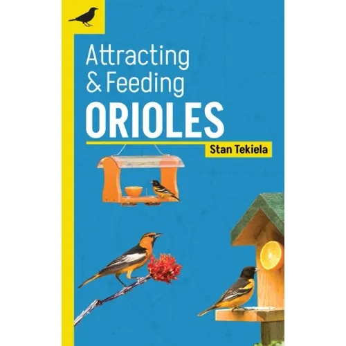 Attracting & Feeding Orioles