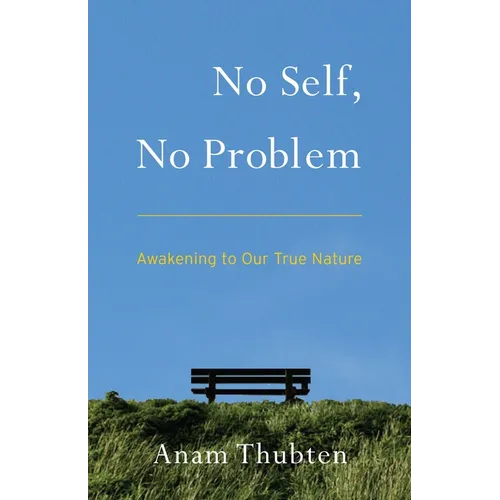No Self, No Problem: Awakening to Our True Nature