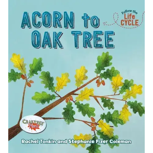 Acorn to Oak Tree