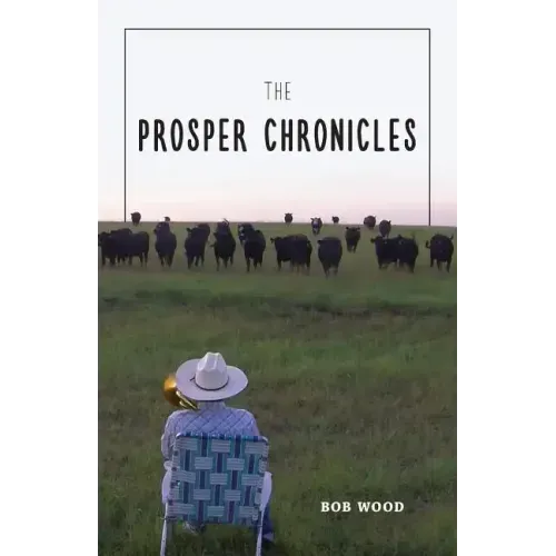The Prosper Chronicles