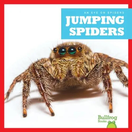 Jumping Spiders