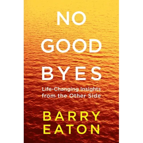 No Goodbyes: Life-Changing Insights from the Other Side