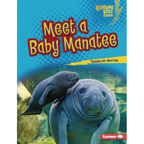 Meet a Baby Manatee