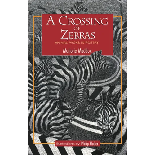 A Crossing of Zebras