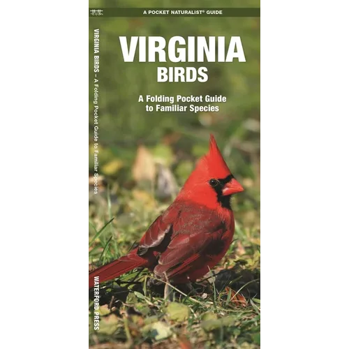 Virginia Birds: A Folding Pocket Guide to Familiar Species