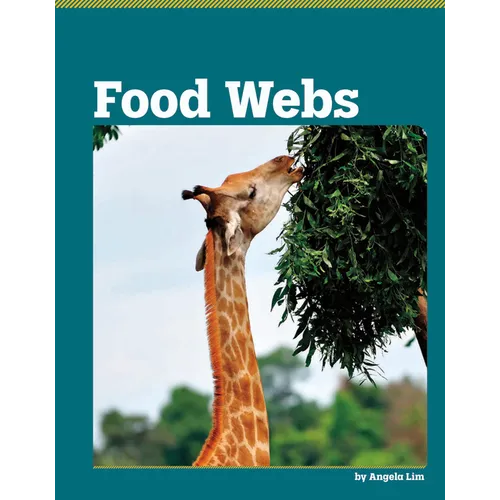 Food Webs