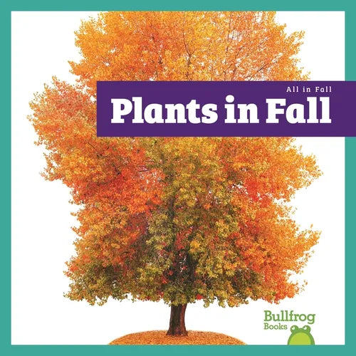 Plants in Fall