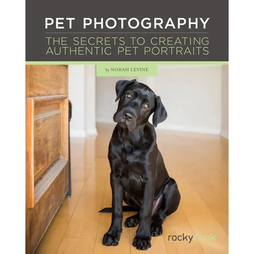 Pet Photography: The Secrets to Creating Authentic Pet Portraits