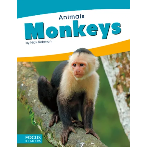 Monkeys
