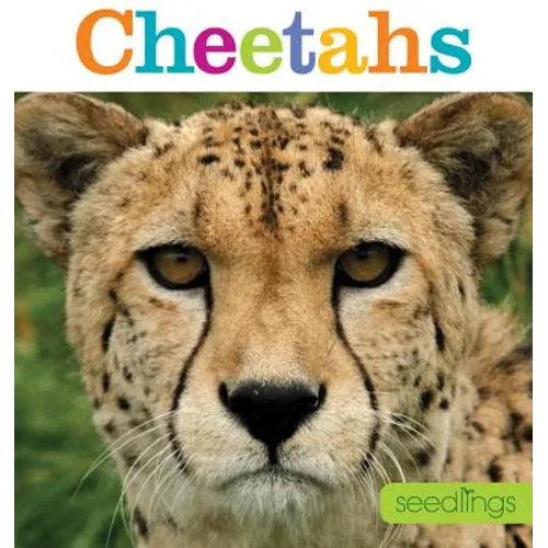 Seedlings: Cheetahs