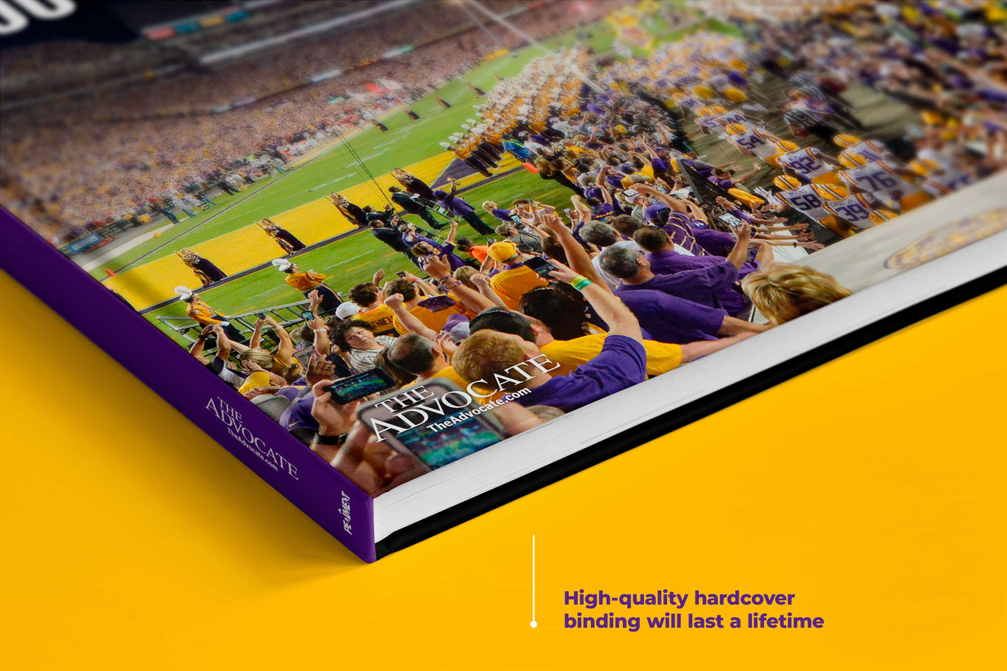 100 Years in Death Valley: How Tiger Stadium Became One of the Most Legendary Venues in American Sports Book