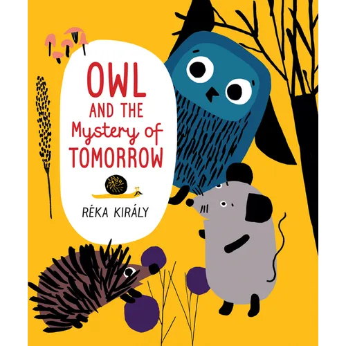 Owl and the Mystery of Tomorrow
