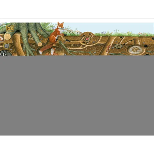 Life Underground: Tunnel Into a World of Wildlife