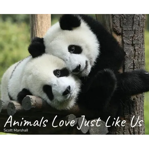Animals Love Just Like Us