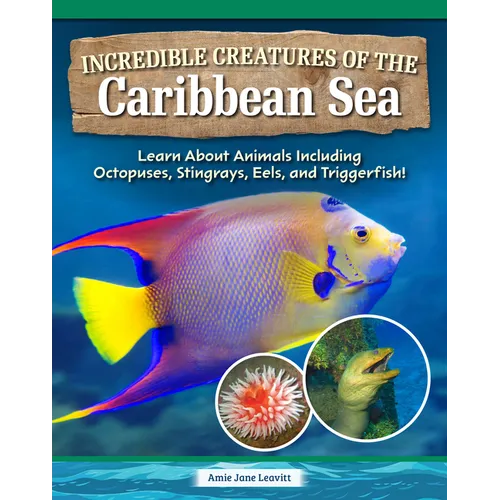 Incredible Creatures of the Caribbean Sea: Learn about Animals Including Octopuses, Stingrays, Eels, and Triggerfish!