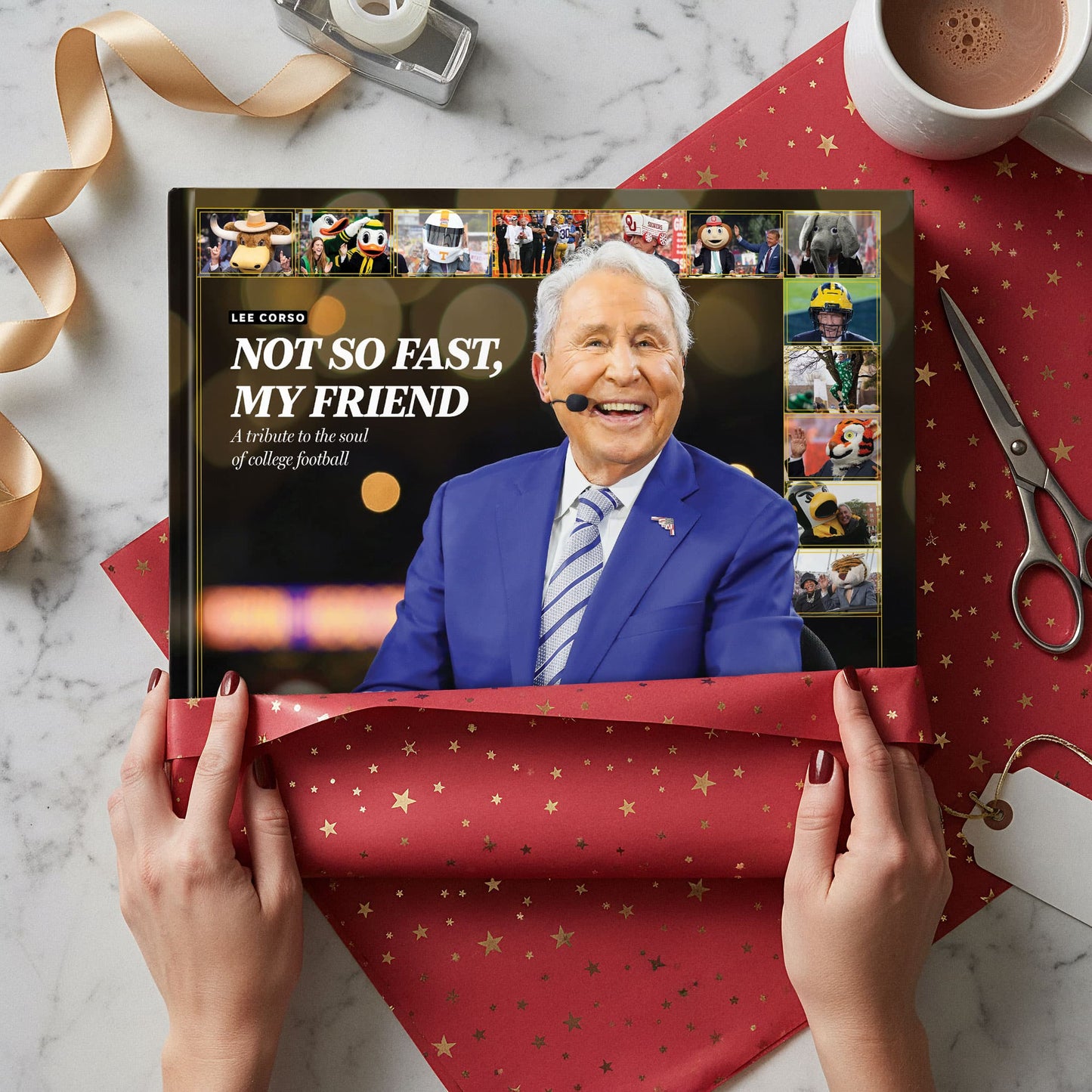 LEE CORSO: NOT SO FAST, MY FRIEND: A tribute to the soul of college football Book