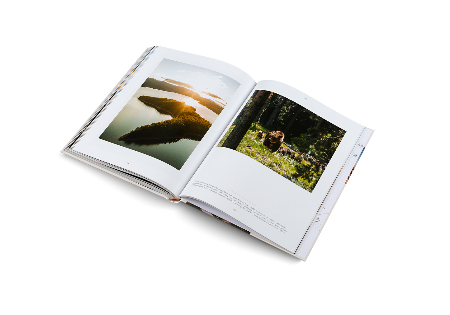 Life on the Road Book