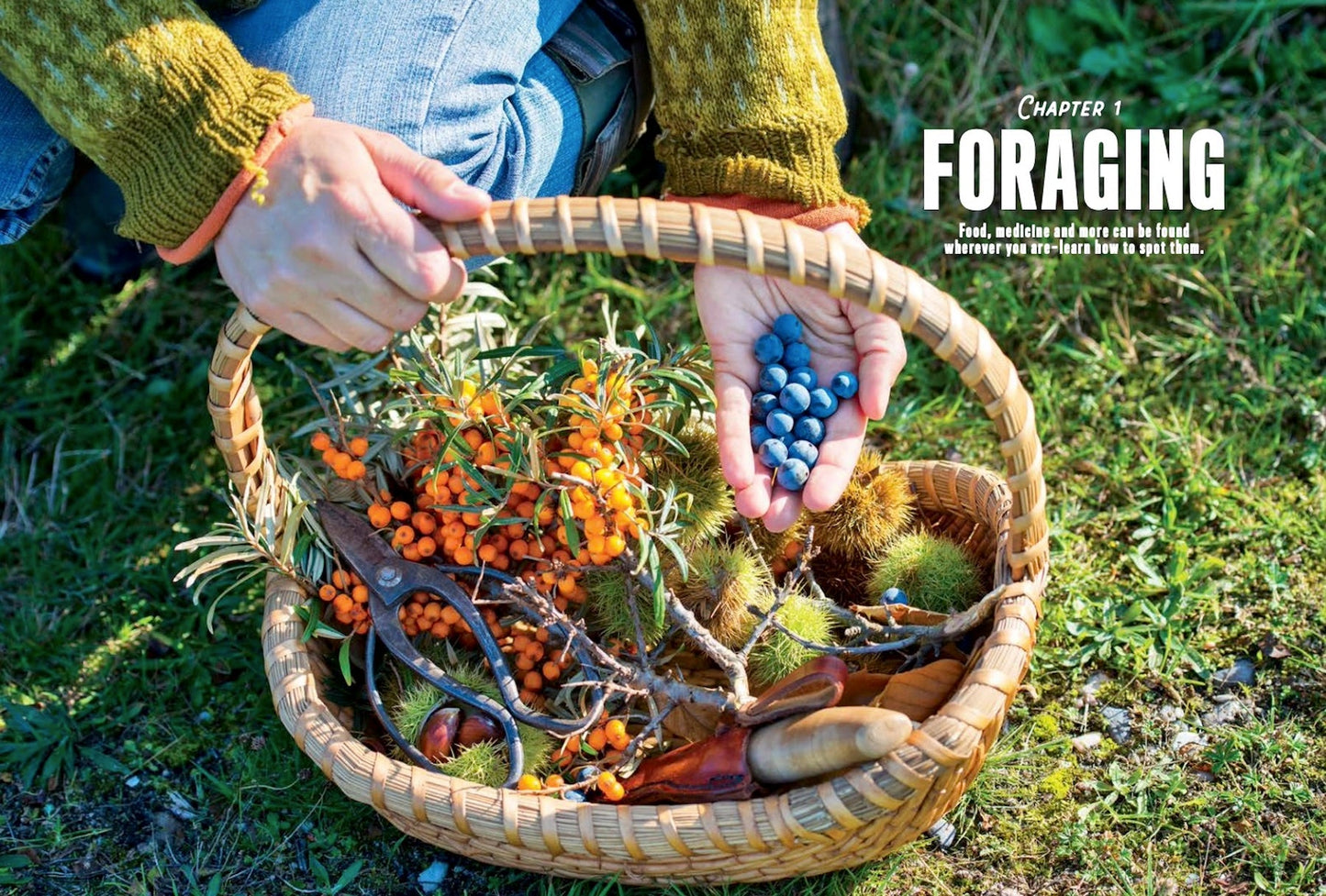 Living Off the Land - Complete Guide Self Reliance Skills You Need to Know: 300+ Essential Tips, Off-Grid Knowledge, Wilderness Necessities, Survival Strategies and Fishing & Hunting!
