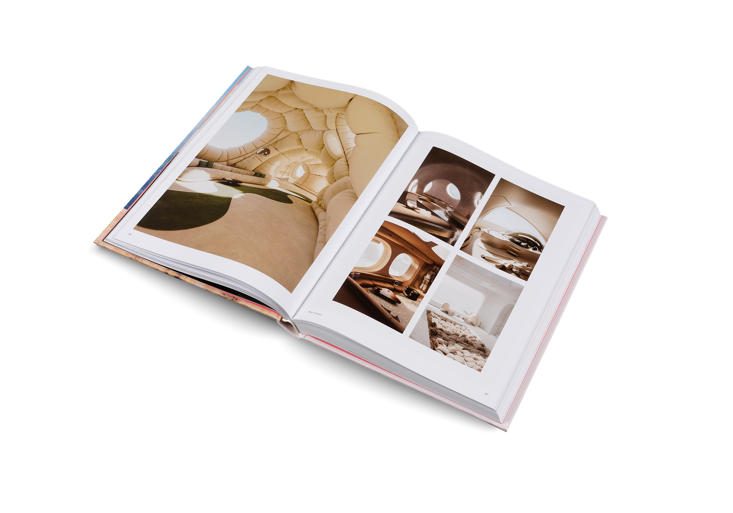 Living in a Dream Book