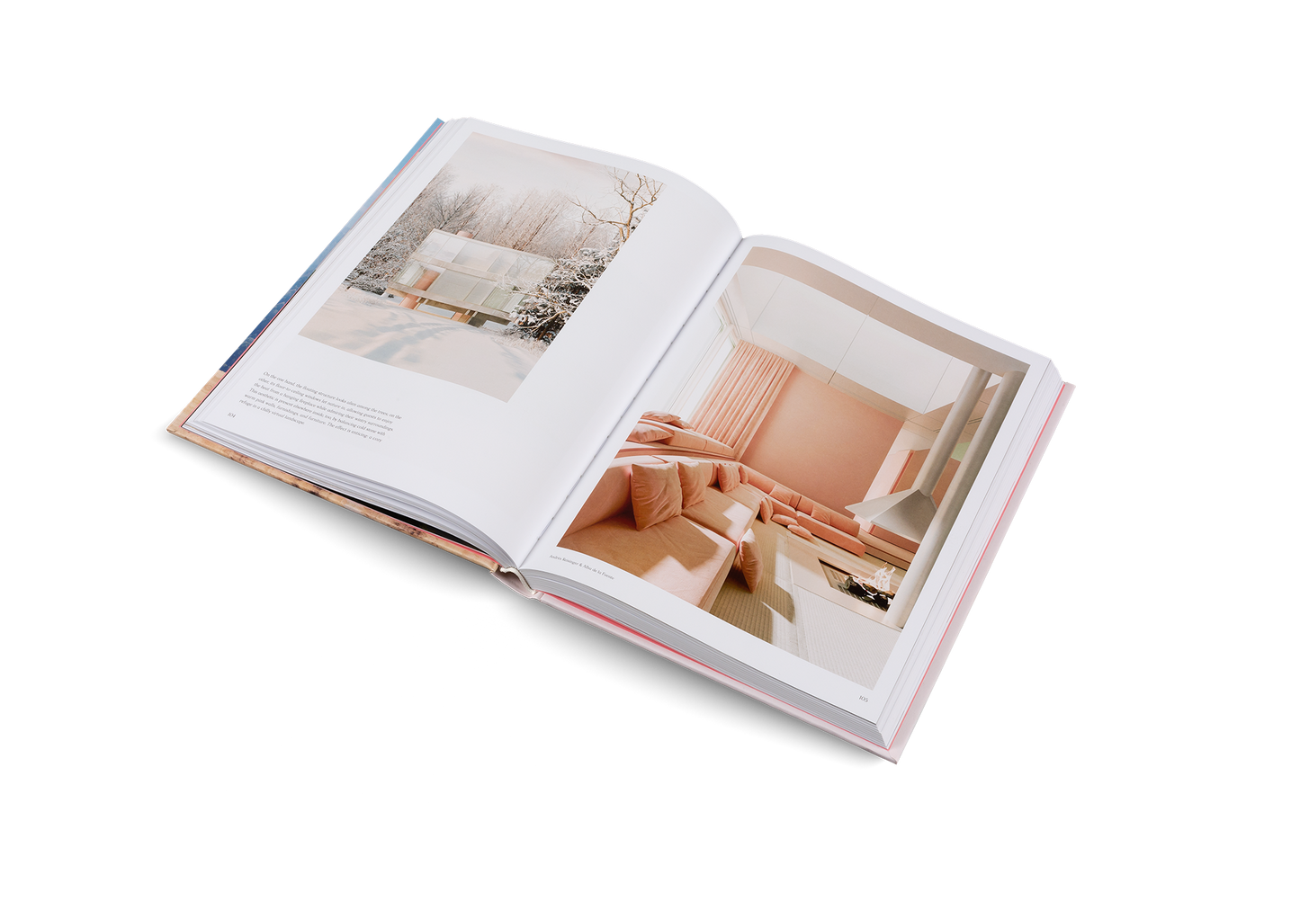 Living in a Dream Book