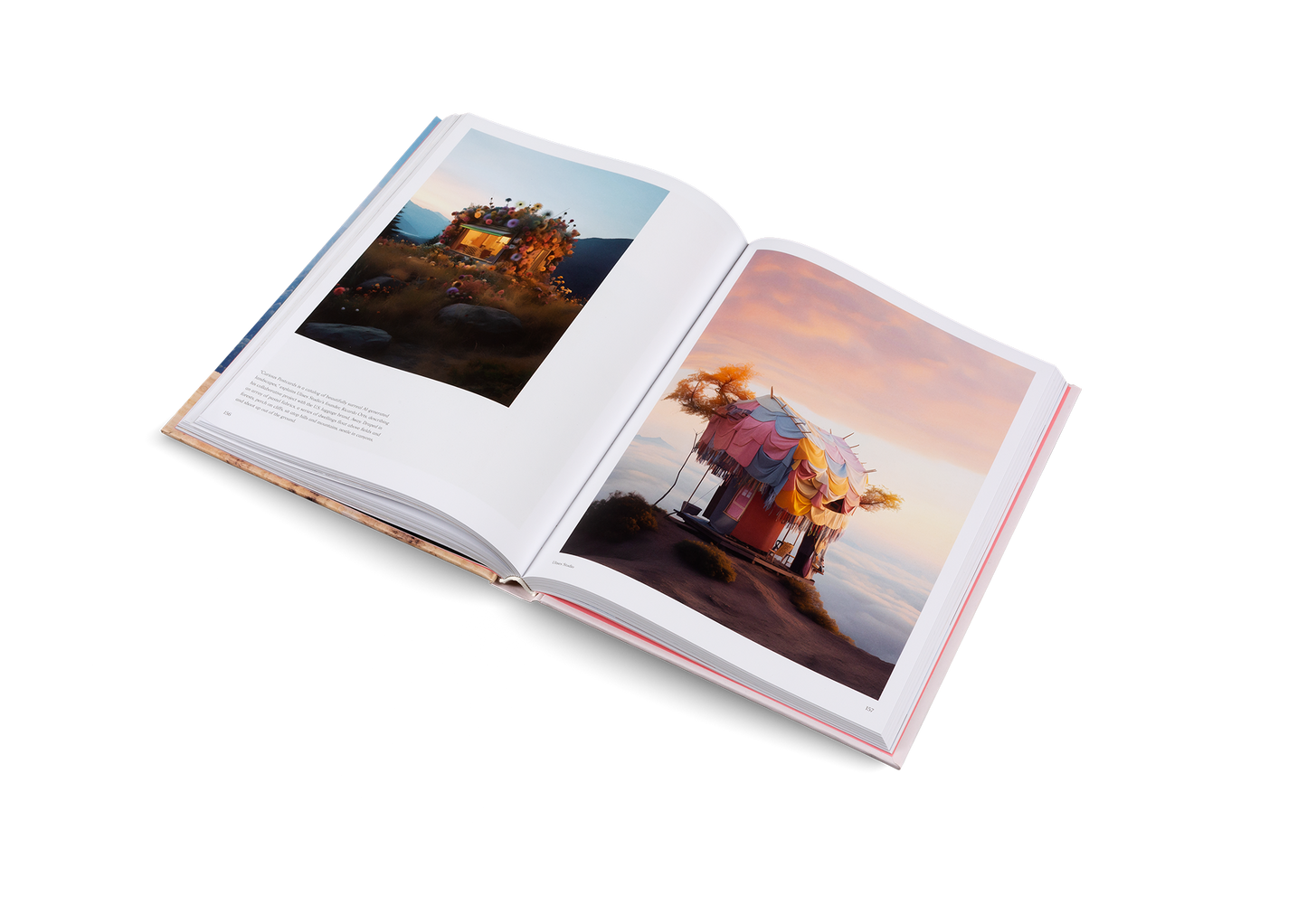 Living in a Dream Book