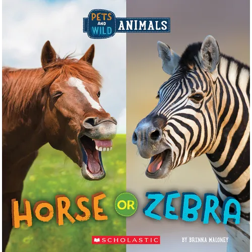 Horse or Zebra (Wild World: Pets and Wild Animals)