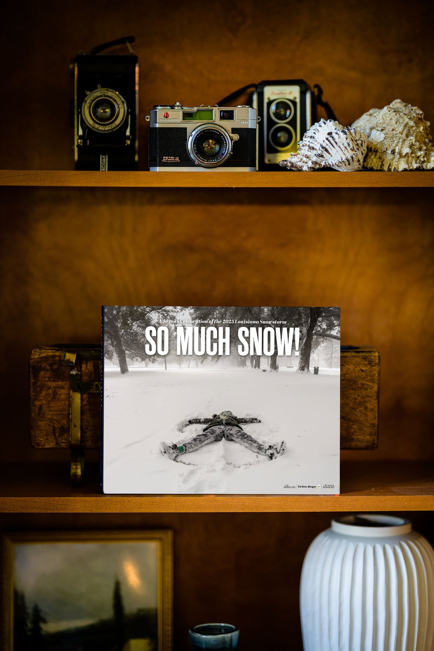 So Much Snow! A Joyous Celebration of the 2025 Louisiana Snowstorm Book