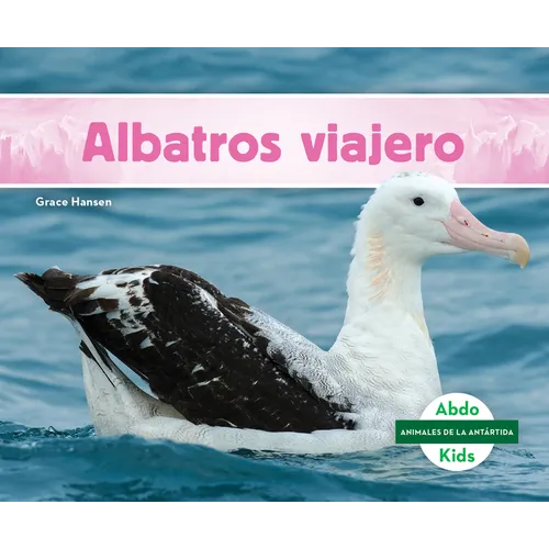 Albatros Viajero (Wandering Albatross)