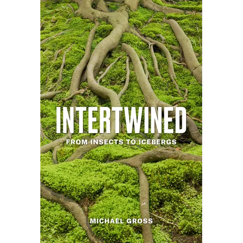 Intertwined: From Insects to Icebergs