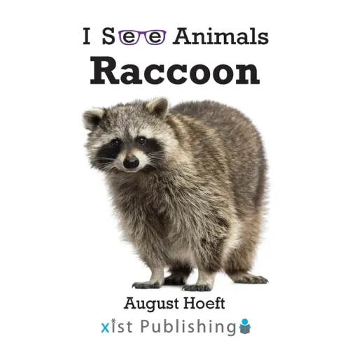 Raccoon