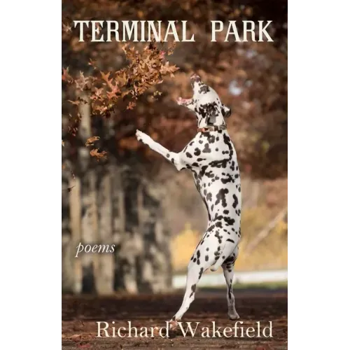 Terminal Park: Poems