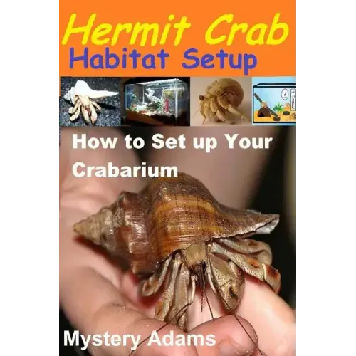 Hermit Crab Habitat Setup: Hermit Crab care and Habitat Set-up