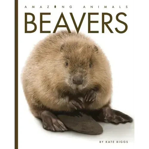Beavers