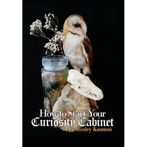 How to Start Your Curiosity Cabinet