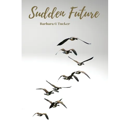 Sudden Future