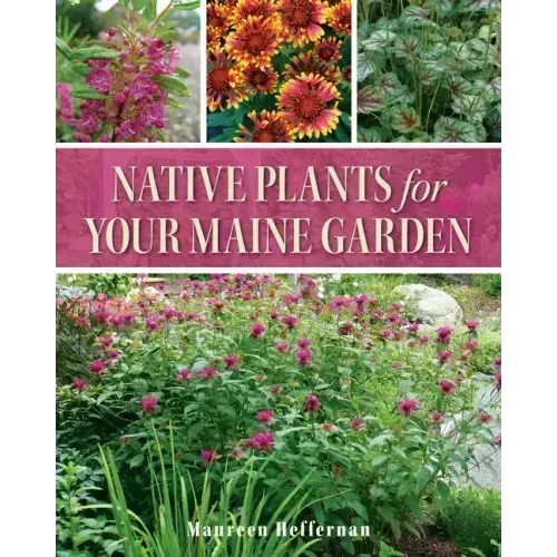 Native Plants for Your Maine Garden